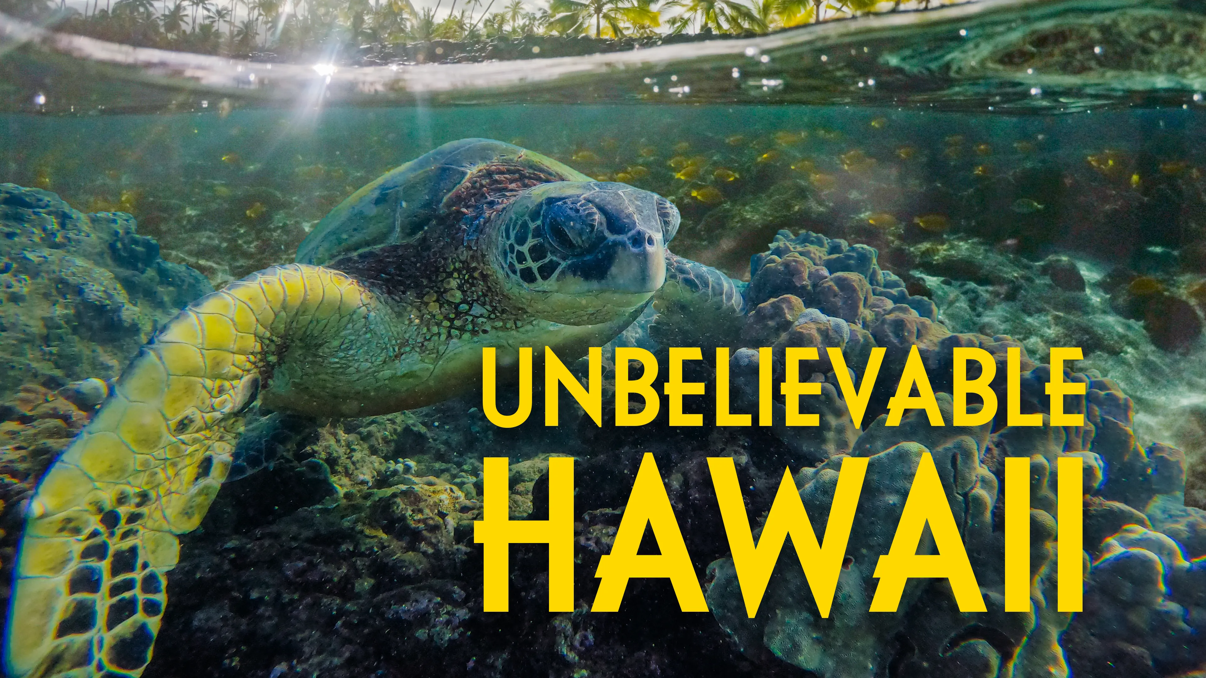 Unbelievable Hawaii poster